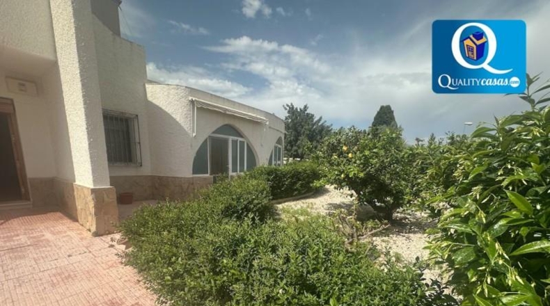 Alicante - Mutxamel - 1200m2