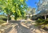 Chalet independiente con terreno en venta en la España, Torrevieja, ref: TR390965 foto