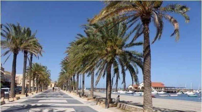 Murcia - Los Alcázares - 350m2