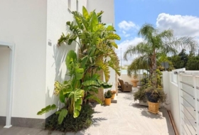 Los Montesinos 252&nbsp;m²