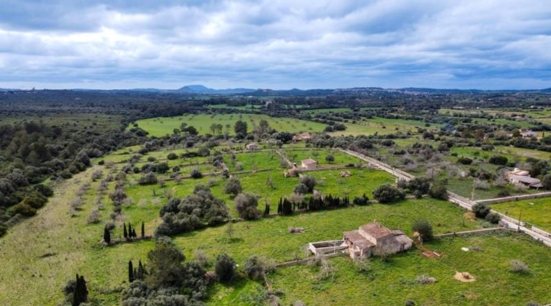 Balearic Islands - Son Bauló - 25429m2
