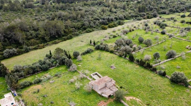 Balearic Islands - Son Bauló - 25429m2