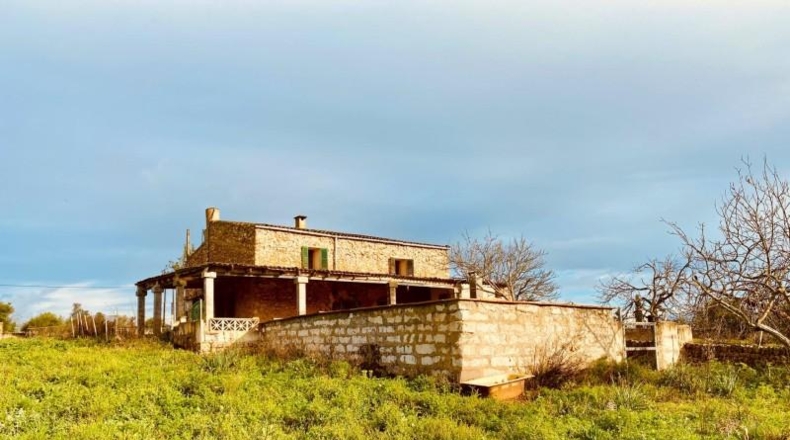 Balearic Islands - Son Bauló - 25429m2