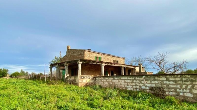 Balearic Islands - Son Bauló - 25429m2