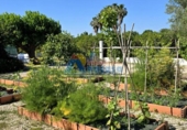 Detached villa with land for sale on España, Oliva, ref: TR413952 photo