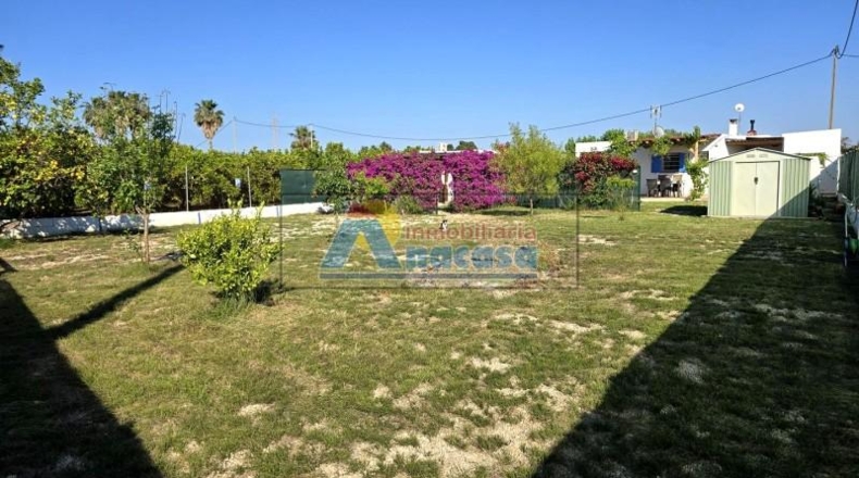Valencia - Oliva - 1286m2