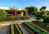 Detached villa with land for sale on España, Oliva, ref: TR413952 photo