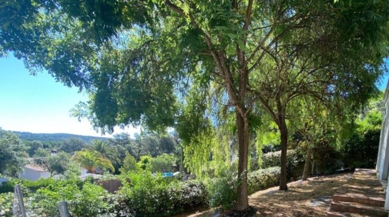 Córdoba - Encinarejo de Córdoba - 1526m2