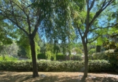 Chalet independiente con terreno en venta en la España, Encinarejo de Córdoba, ref: TR413963 foto