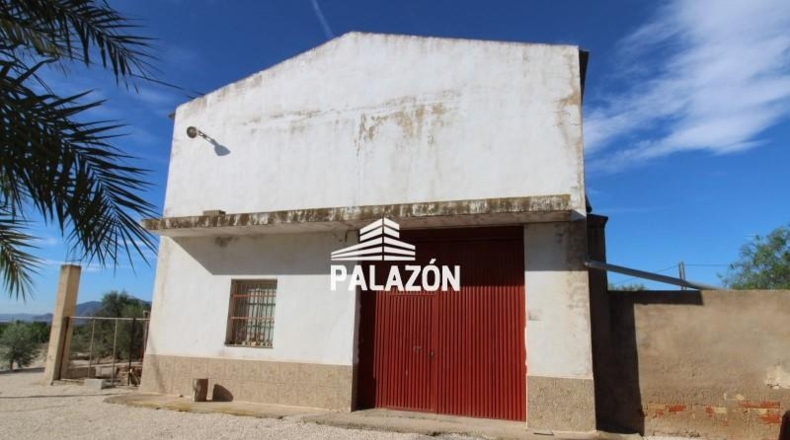 Alicante - Crevillente - 9000m2