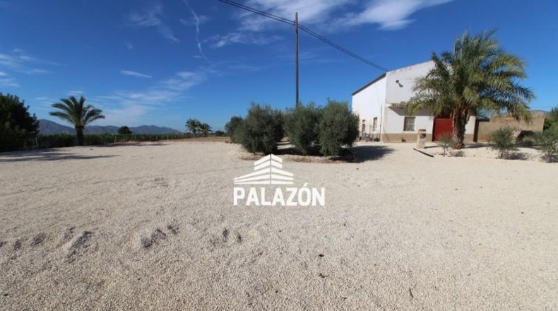 Alicante - Crevillente - 9000m2