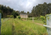 Finca rústica en venda a la España, Foz, ref.: TR377258 foto