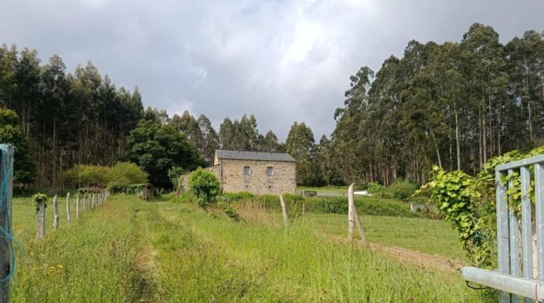 Lugo - Foz - 4300m2