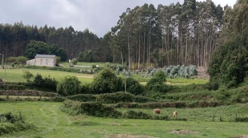 Lugo - Foz - 4300m2