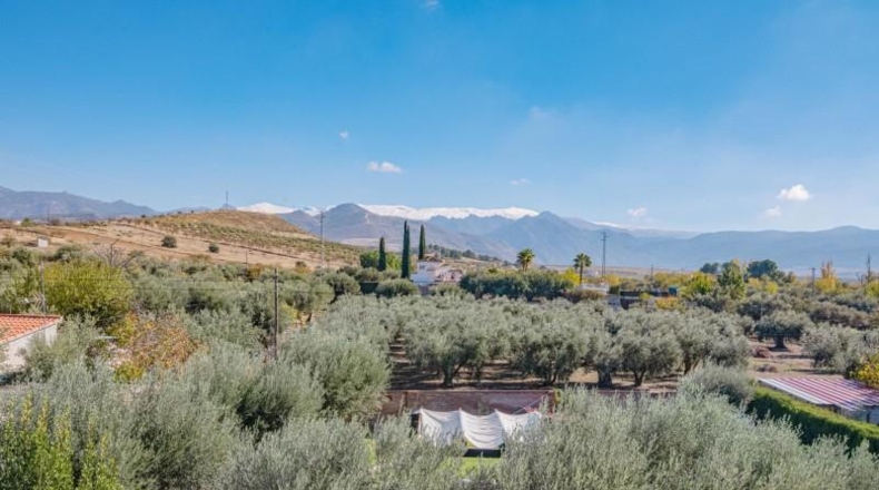 Granada - Gójar - 2142m2