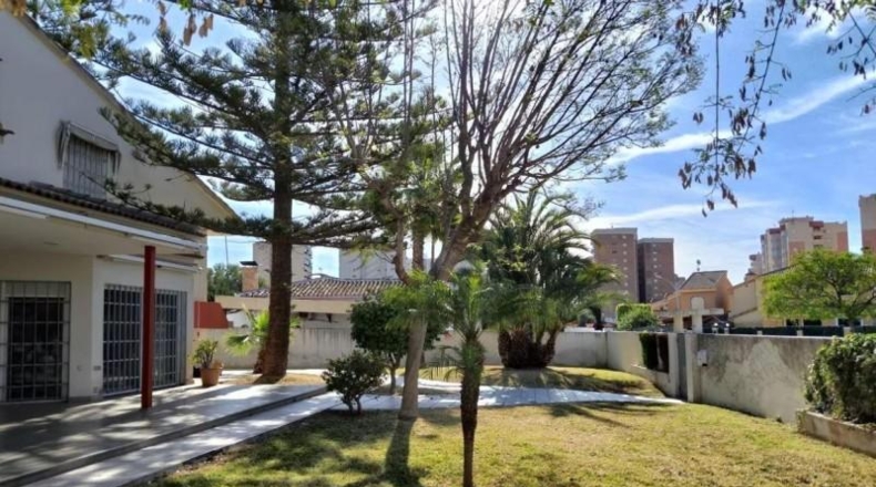 Alicante - Orihuela - 700m2