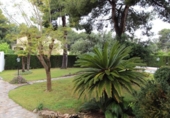 Detached villa with land for sale on España, Torrent, ref: TR384825 photo