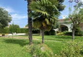 Detached villa with land for sale on España, Torrent, ref: TR384825 photo