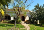 Detached villa with land for sale on España, Torrent, ref: TR384825 photo