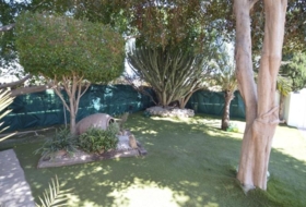 Torrevieja 800&nbsp;m²