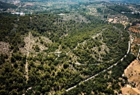 Foto 9