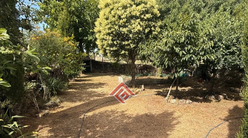 Cáceres - La Aldea del Obispo - 400m2