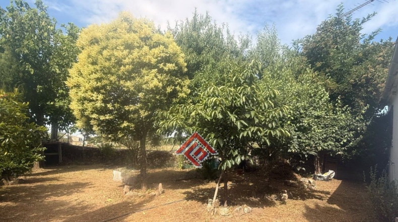 Cáceres - La Aldea del Obispo - 400m2