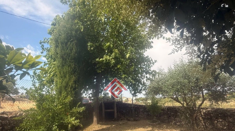 Cáceres - La Aldea del Obispo - 400m2