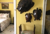Rural estate for sale in Molledo ref: TR341166 photo