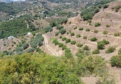 Country house with land for sale in Frigiliana ref: TR413967 photo