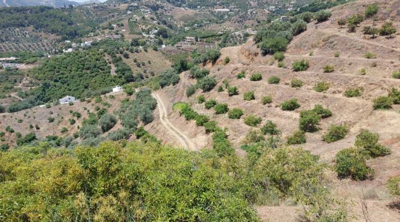 Málaga - Frigiliana - 5300m2