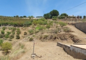 Country house with land for sale in Frigiliana ref: TR413967 photo
