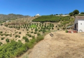 Country house with land for sale in Frigiliana ref: TR413967 photo