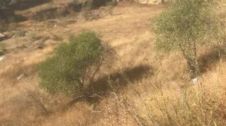 Comunidad de Madrid - Orusco de Tajuña - 13657m2