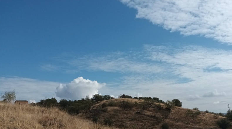 Comunidad de Madrid - Orusco de Tajuña - 13657m2
