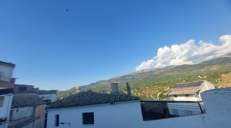 Jaén - Quesada - 215m2