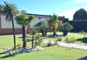 Chalet independiente con terreno en venta en Villanueva de Duero ref: TR413980 foto