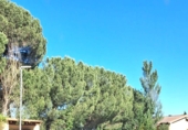 Chalet independiente con terreno en venta en Villanueva de Duero ref: TR413980 foto