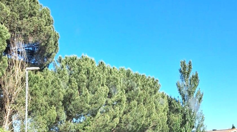 Valladolid - Villanueva de Duero - 1012m2