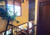 Chalet independiente con terreno en venta en Villanueva de Duero ref: TR413980 foto