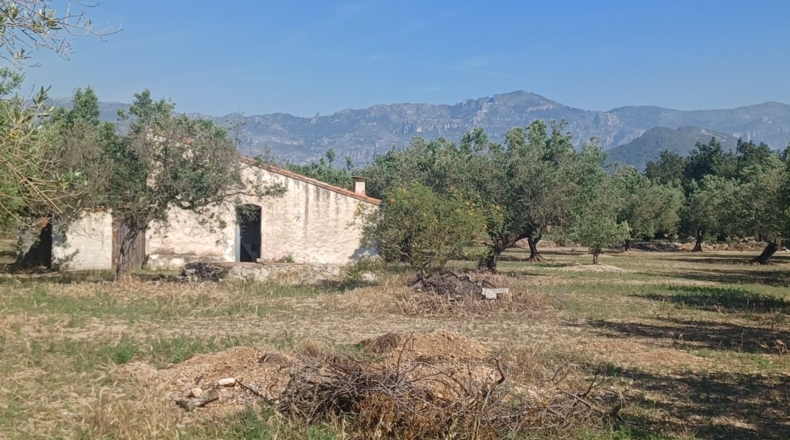 Tarragona - Mas de Barberans - 13187m2