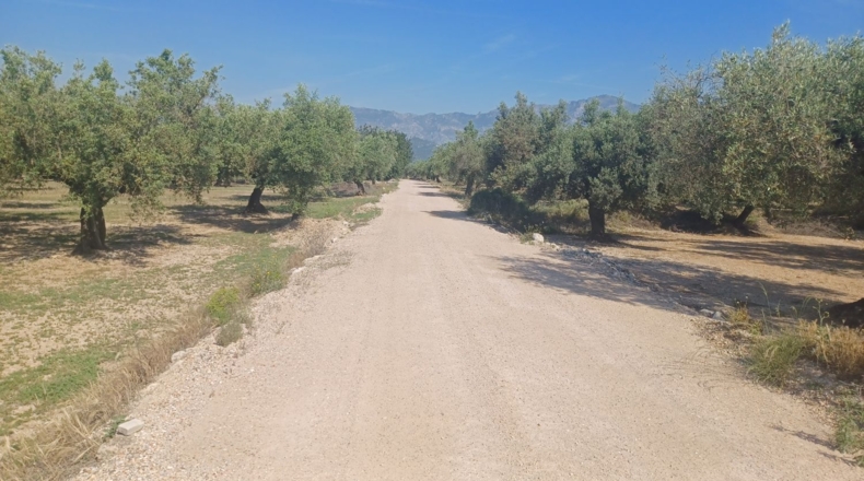Tarragona - Mas de Barberans - 13187m2