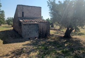 Mas de Barberans 13187&nbsp;m²