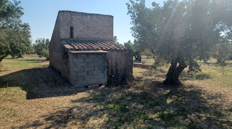 Tarragona - Mas de Barberans - 13187m2