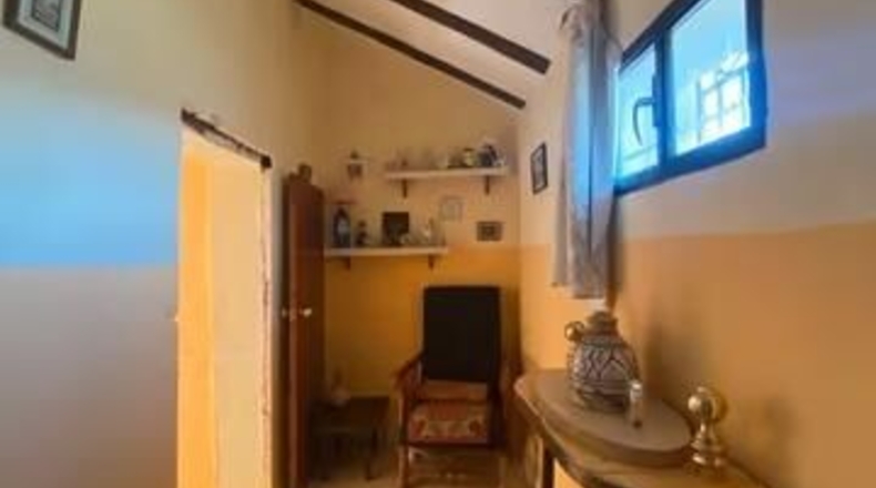 Málaga - Marbella - 2500m2