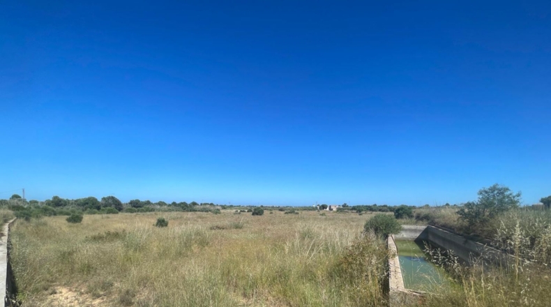 Castellón - Alcalà de Xivert - 14631m2
