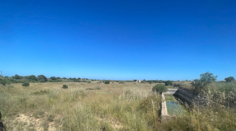 Castellón - Alcalà de Xivert - 14631m2