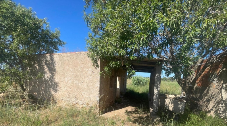 Castellón - Alcalà de Xivert - 14631m2
