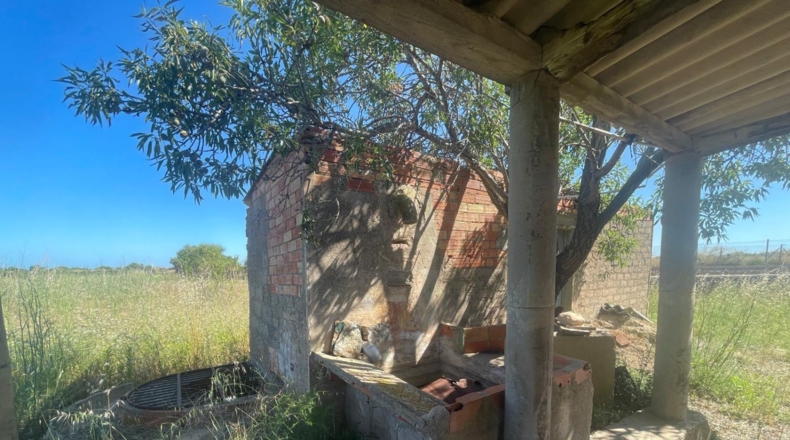 Castellón - Alcalà de Xivert - 14631m2