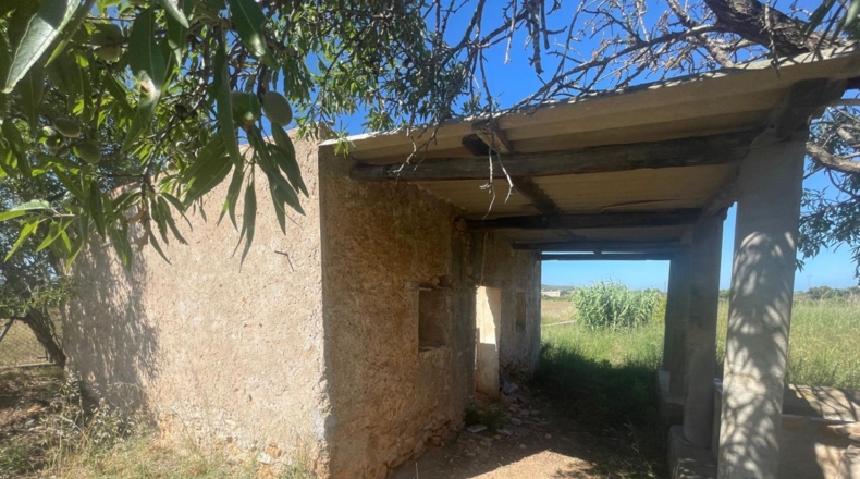 Castellón - Alcalà de Xivert - 14631m2